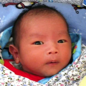 baby1day